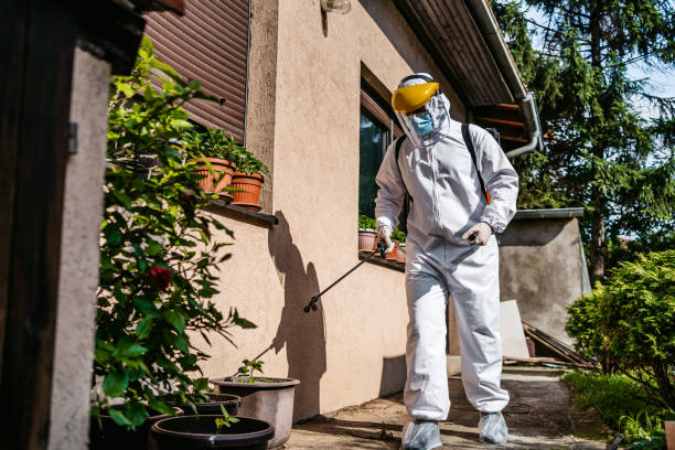 Best Pest Removal Services  in Vestavia Hills, AL