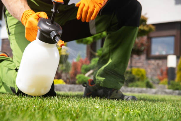 Best Best Pest Control Companies  in Vestavia Hills, AL
