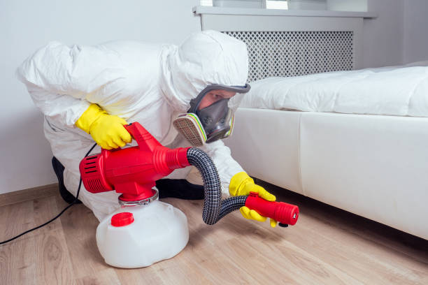 Professional Pest Control in Vestavia Hills, AL