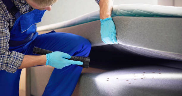 Best Best Pest Control Companies  in Vestavia Hills, AL