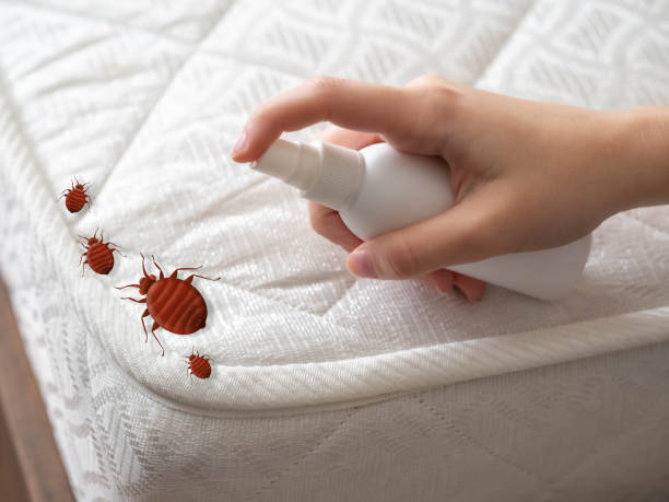 Best Bed Bug Extermination  in Vestavia Hills, AL
