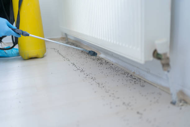  Vestavia Hills, AL Pest Control Pros